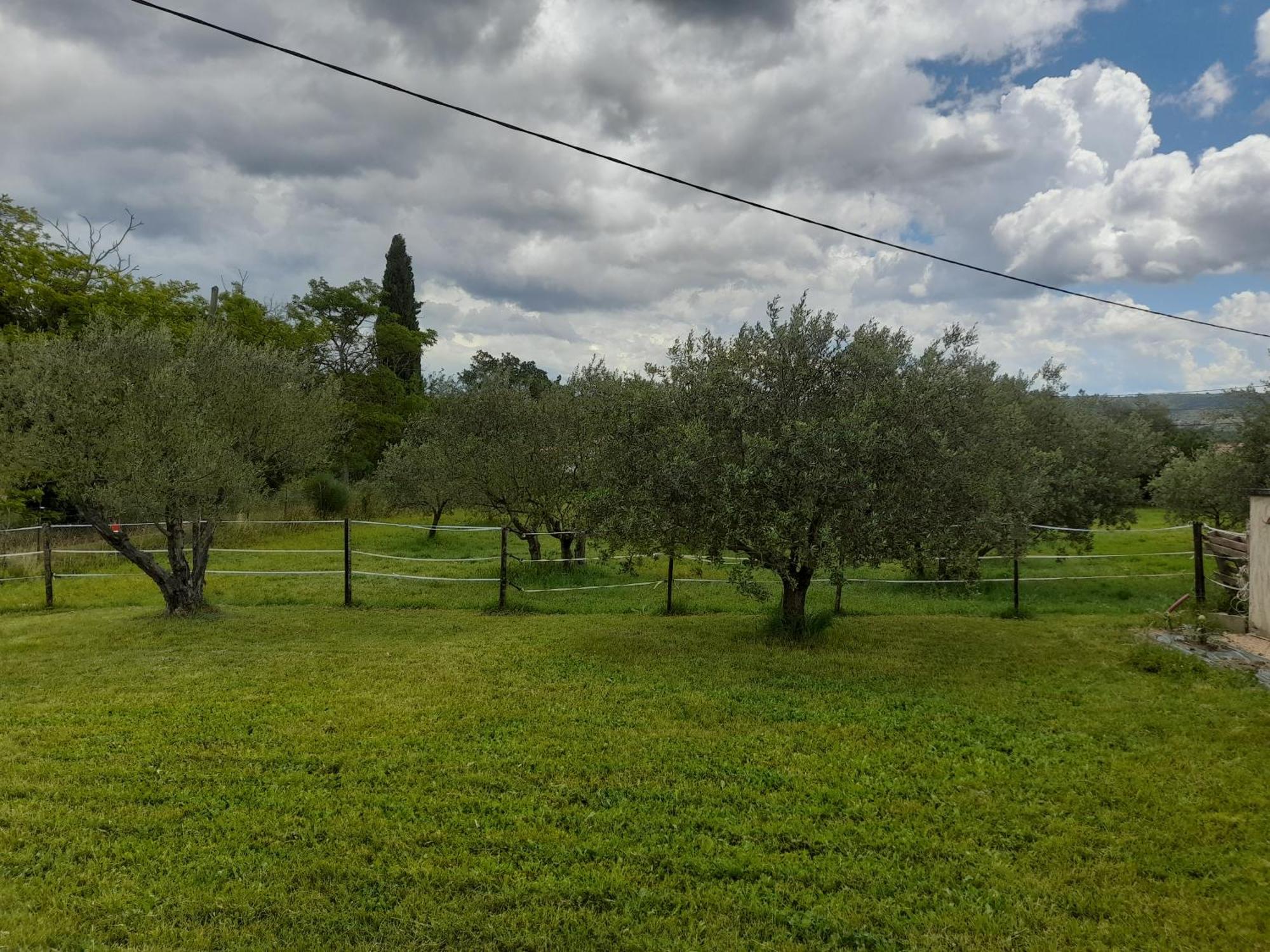 Maison A La Campagne Volx Dış mekan fotoğraf